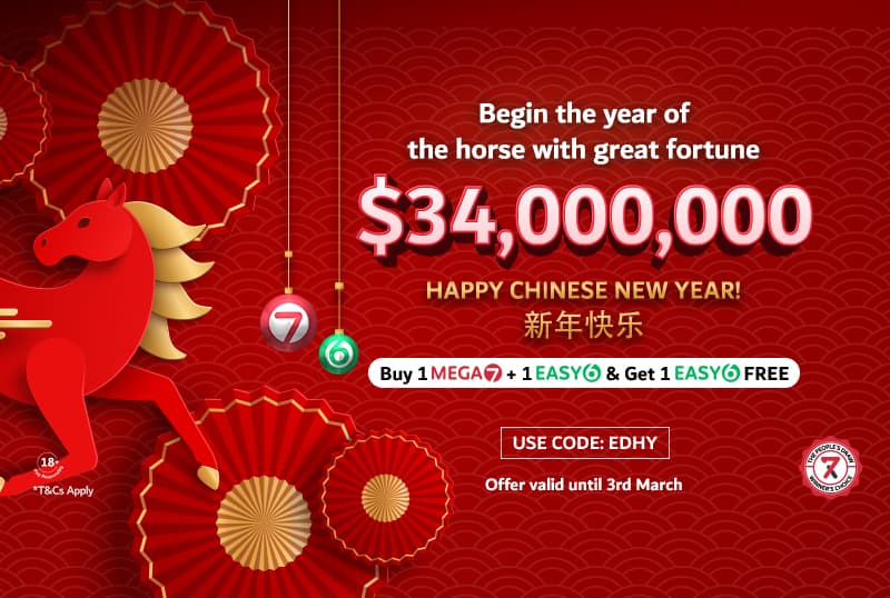 CHINESE NEW YEAR PROMO